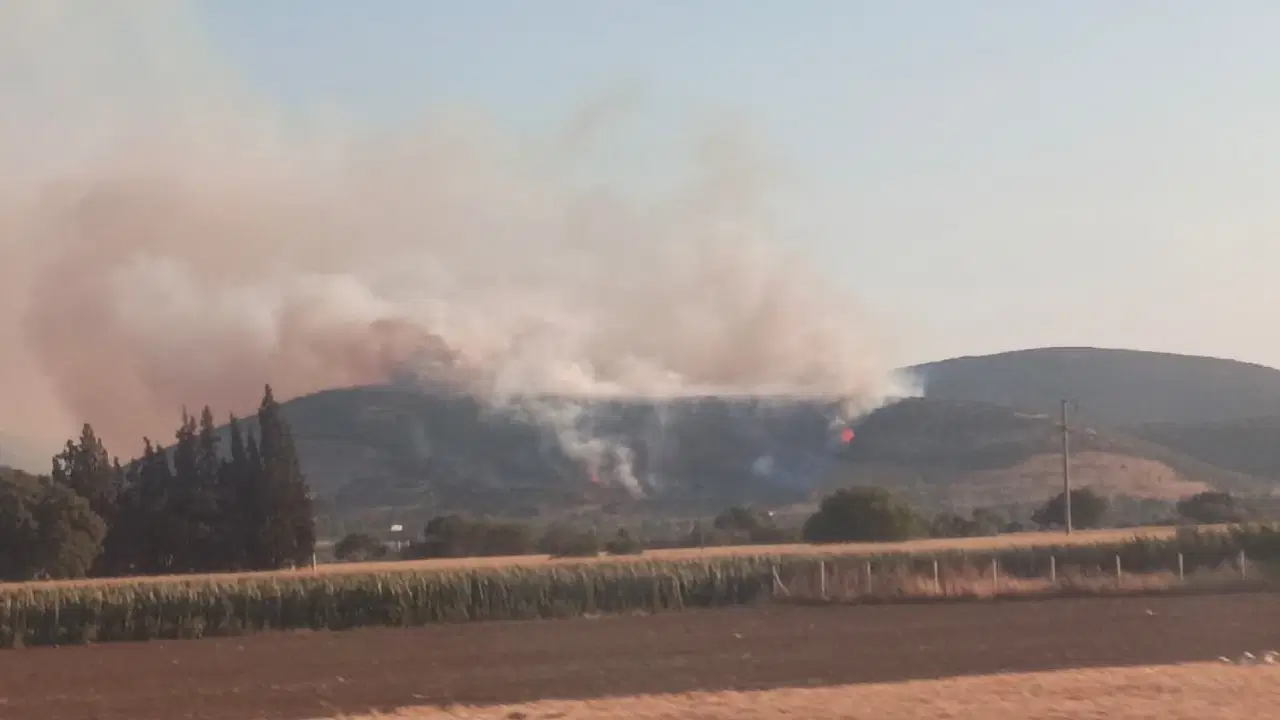 Haber gorseli